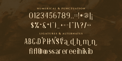 Essentials Font | Webfont & Desktop | MyFonts