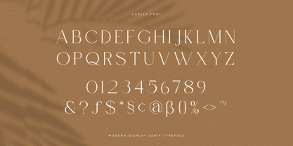 Carlly Font Poster 11