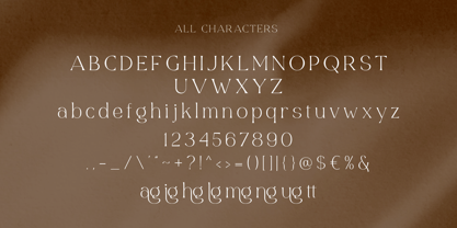 Angelic Bright Font Poster 5