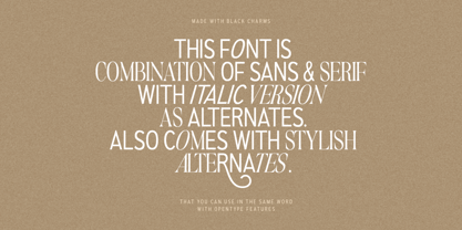 Black Charms Font Poster 12