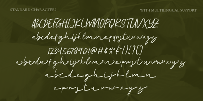 Greenfield Script Font Poster 9