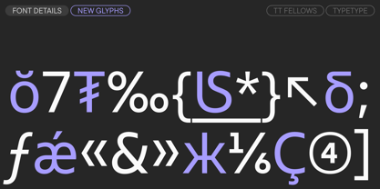 TT Fellows Font Poster 15