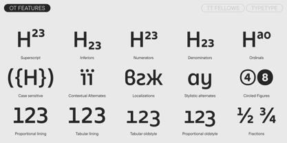 TT Fellows Font Poster 12