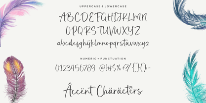 Realistic Feather Font Poster 5