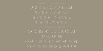 Dagstam Font Poster 7