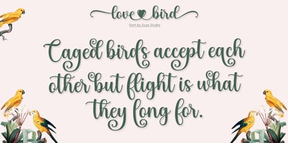 Love Bird Script Font Poster 5