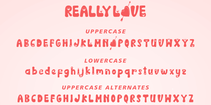 Really Love Font Poster 6