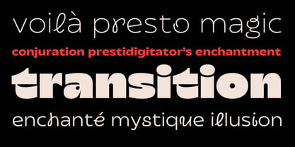 Transforma Font Poster 4