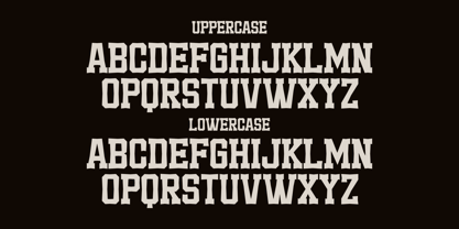 Losver Font Poster 3