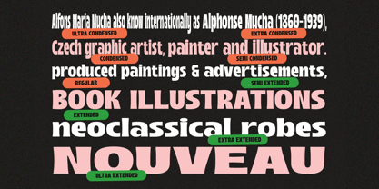 Boughy Font Poster 6