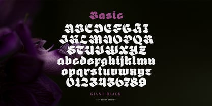 Giant Black Font Poster 6