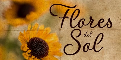 Flores del Sol Font Poster 1