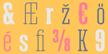 Denso Serif Font Poster 5