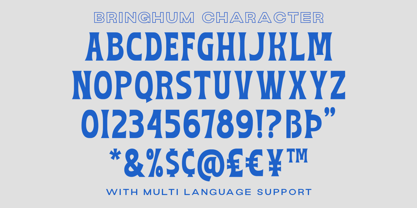 Bringhum Font Poster 6