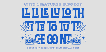 Bringhum Font Poster 7