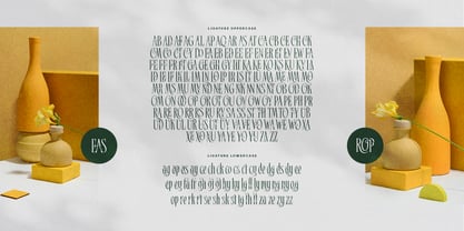 Billyzar Rope Font Poster 15