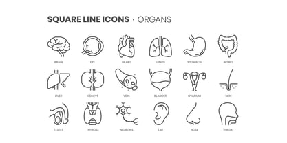 Square Line Icons Medical 2 Font Poster 2