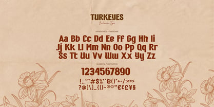 Turkeyes Font Poster 6
