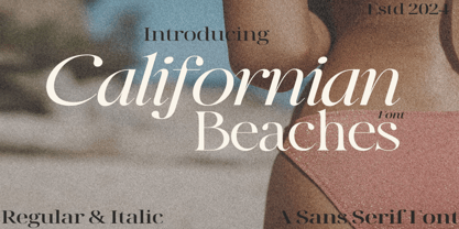 Californianbeaches Police Poster 1