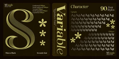 Sevontic Font Poster 3