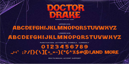 Doctor Drake Font Poster 8