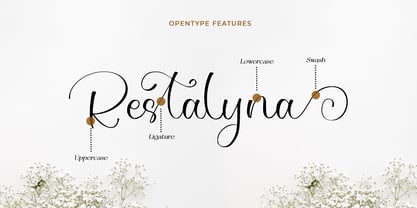 Aesteralda Font Poster 8