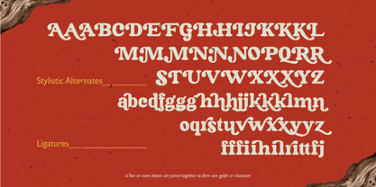 Fallen Tree Font Poster 9