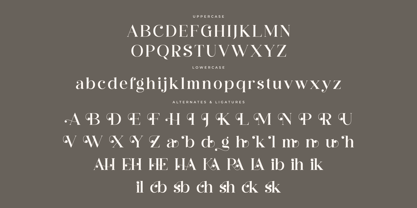 Hergika Font Poster 7