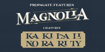 Propagate Font Poster 5
