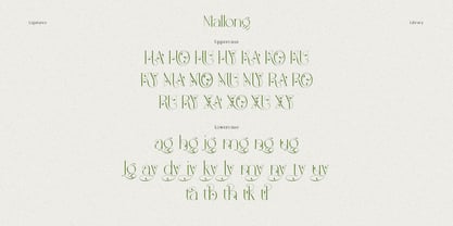 Mallong Font Poster 13