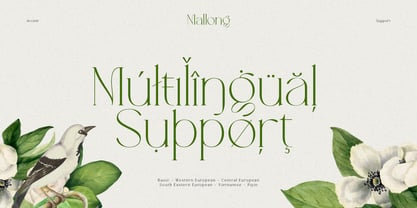 Mallong Font Poster 14