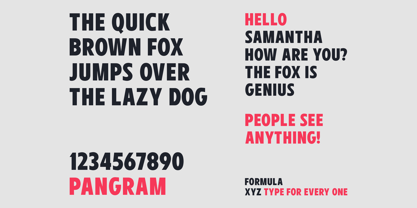 Antry Sans Font Poster 1