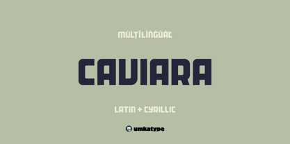 Caviara Font Poster 12
