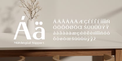 Andimante Font Poster 11