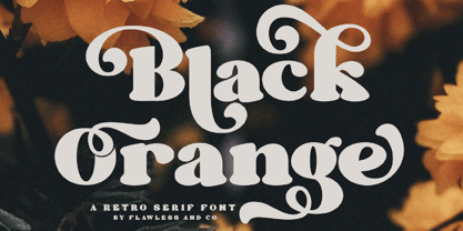 Black Orange Fuente Póster 1