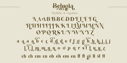 Belugia Font Poster 9