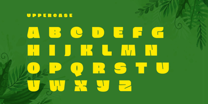 Playful Font Poster 12