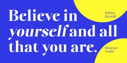 Polisha Reynold Font Poster 11