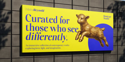 Polisha Reynold Font Poster 3