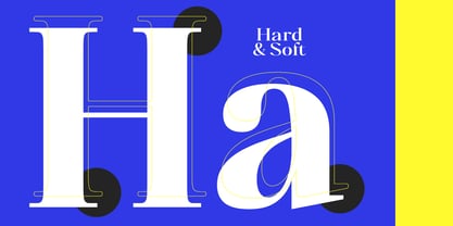 Polisha Reynold Font Poster 10