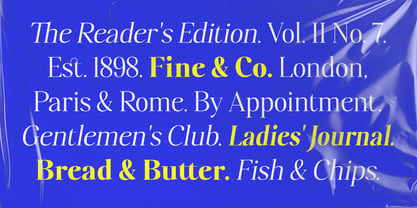 Polisha Reynold Font Poster 4