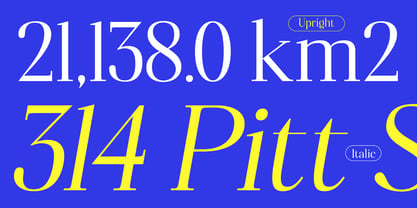 Polisha Reynold Font Poster 8