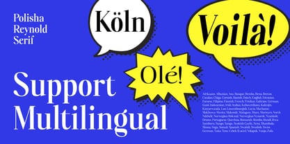 Polisha Reynold Font Poster 13