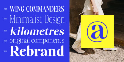 Polisha Reynold Font Poster 5