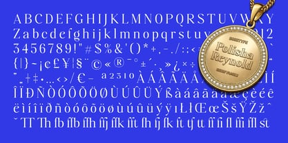 Polisha Reynold Font Poster 15