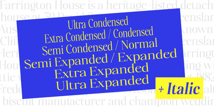 Polisha Reynold Font Poster 6