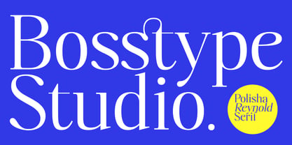 Polisha Reynold Font Poster 14