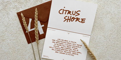 Citrus Shore Font Poster 2