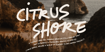 Citrus Shore Font Poster 1