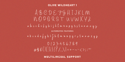 Olive Wildheart Font Poster 7